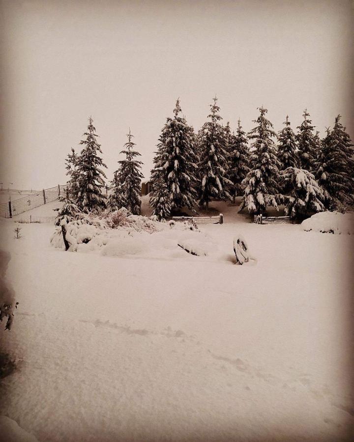 Ben Ohau Villa Twizel Bagian luar foto